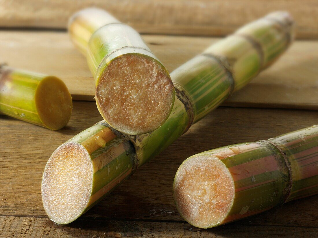 Sticks of raw sugar cane cut to show the inside
