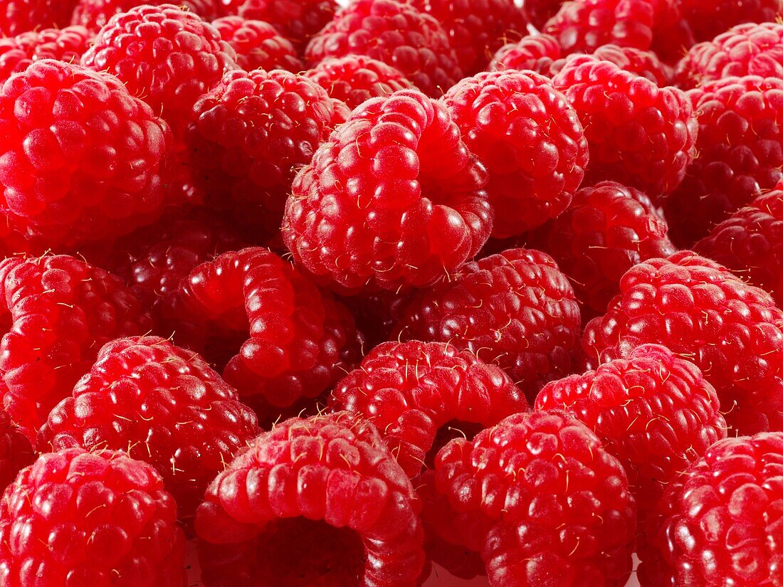 Fresh Raspberries