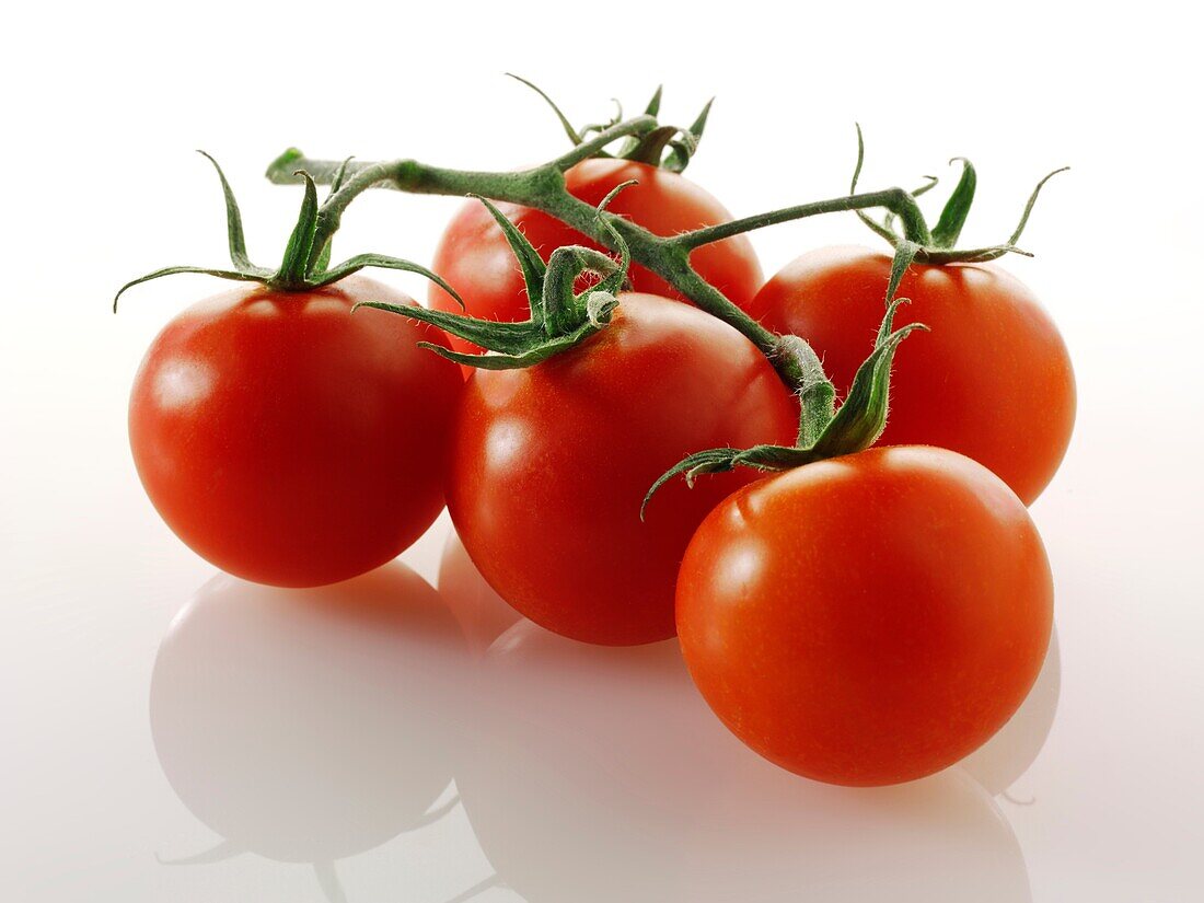 Fresh Tomatoes