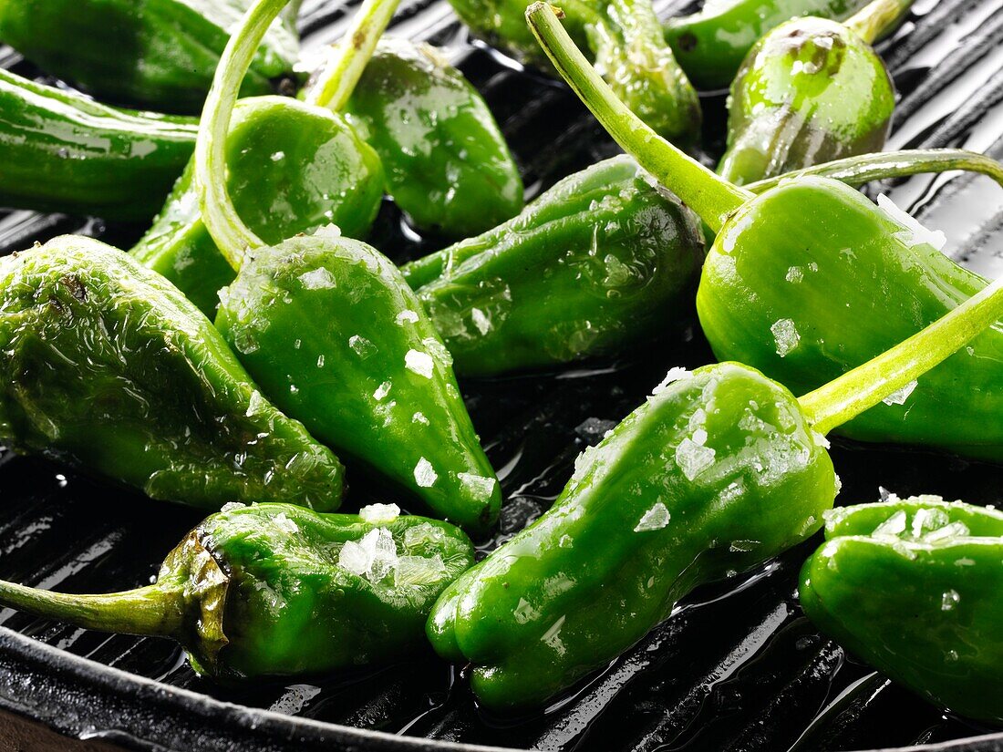 Whole griddled Padron peppers snack with sea salt