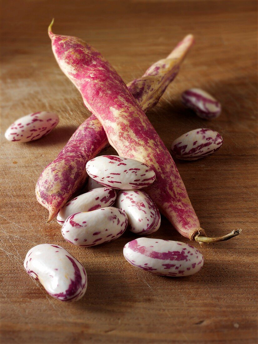 Fresh barlotti beans in their pods