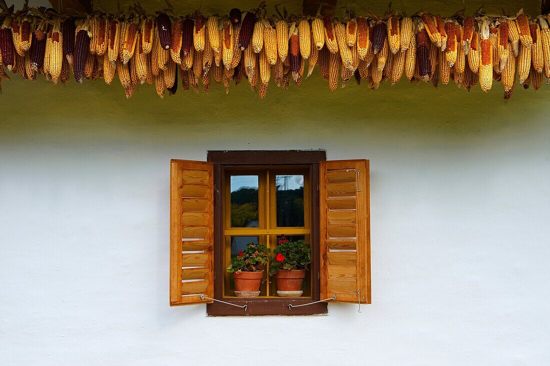 Traditional farm house of the Orség Orseg region with corn drying, Hungary