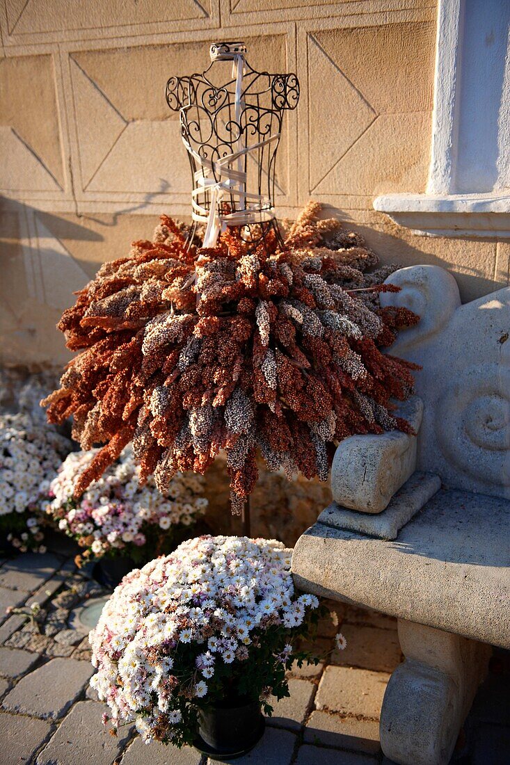 Autumn descoartions outside the Burgerhaus Hotel, Rust Hungarian: Ruszt on the Neusiedler See, Burgenland, Austria