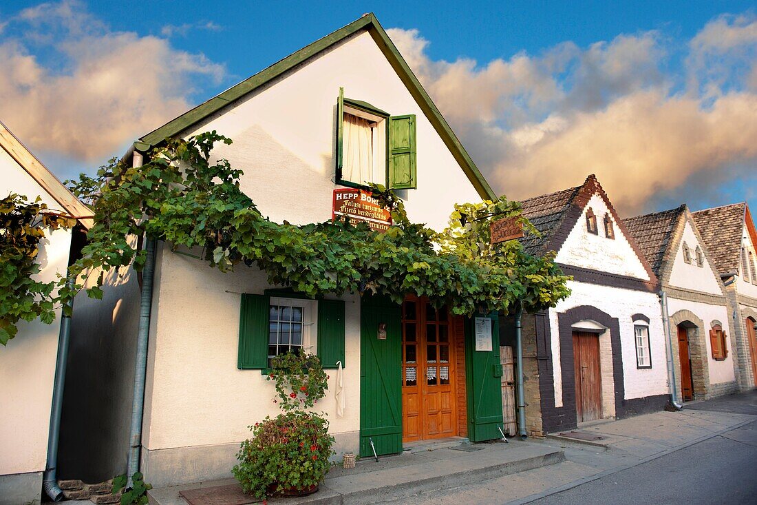 Wine cellars of Hajos Hajós Hungary