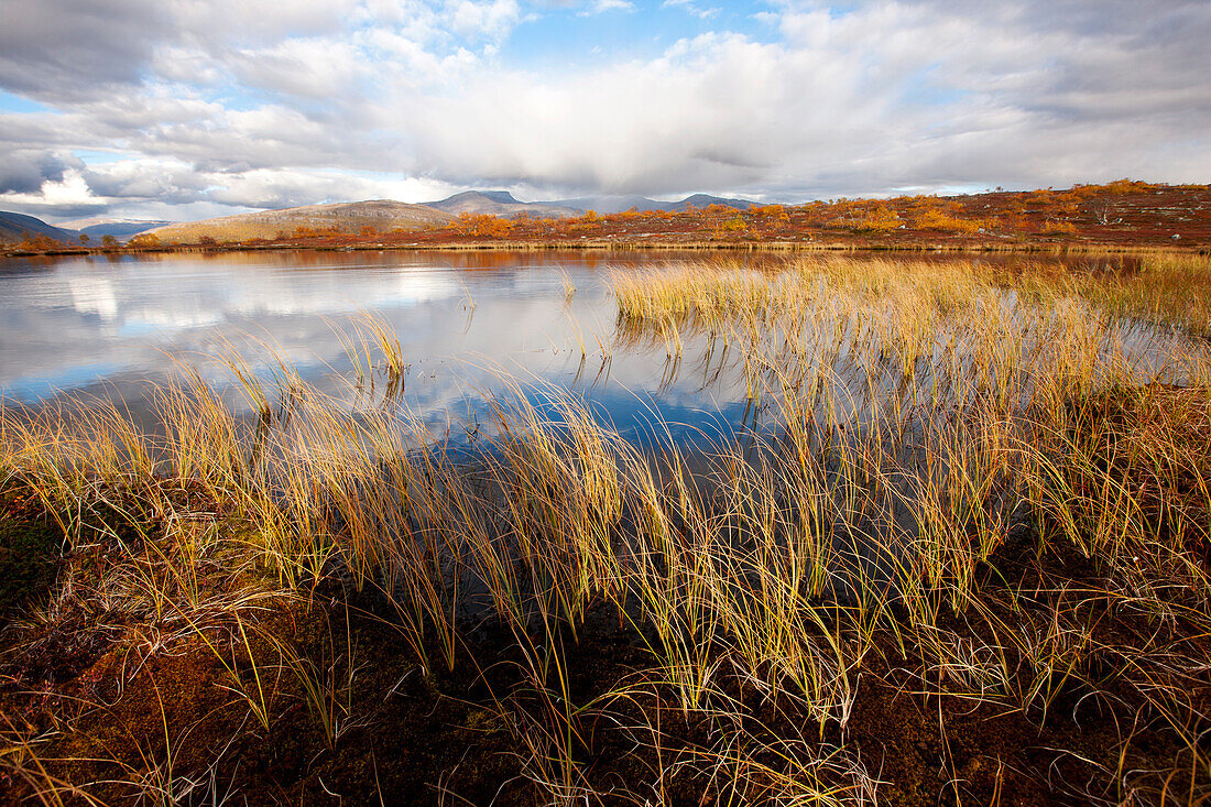 Landschaft nördlich vom Polarkreis, Saltdal, Lonsdal, nahe bei Mo i Rana, Junkerdalen Nationalpark, Wandertour, Herbst, Ensamkeit, Fjell, Nordland, Norwegen, Skandinavien, Europa