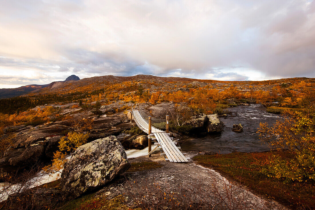 Wooden bridge over a river in a rocky landscape with birch trees, north of the arctic circle, Saltdal, Junkerdalen national park, trekking tour in Autumn, Fjell, Lonsdal, near to Mo i Rana, Nordland, Norway, Scandinavia, Europe