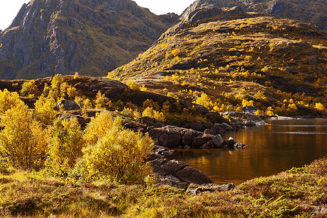 Landschaft auf den Lofoten bei A, Herbst, Süd Lofoten, Moskenesoy, Norwegen, Skandinavien, Europa
