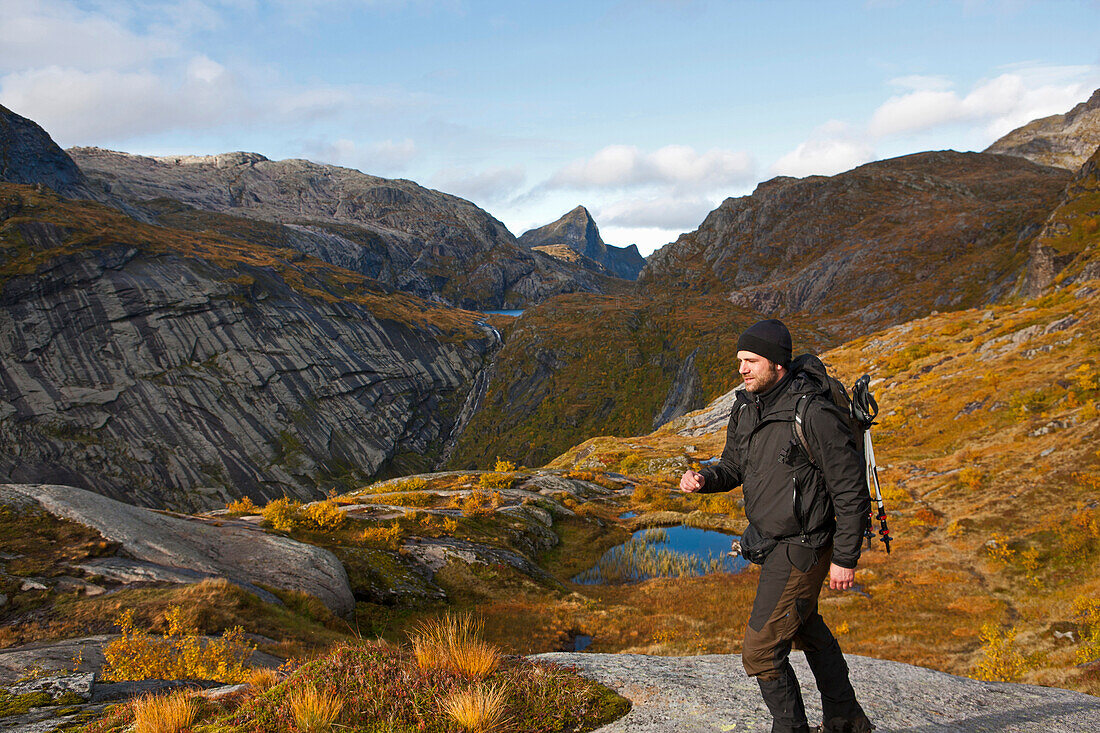 Mann wandert über das Fjell, Landschaft auf den Lofoten bei A, Herbst, Süd Lofoten, Moskenesoy, Norwegen, Skandinavien, Europa