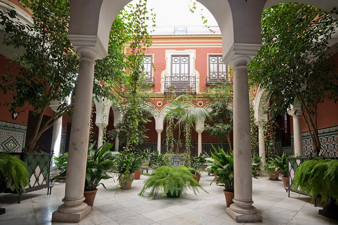 Topfpflanzen in einem Innenhof eines Wohnhauses, Sevilla, Andalusien, Spanien