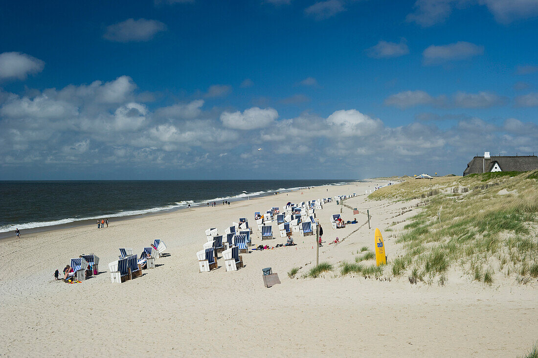 Strandkörbe am Sandstrand, Kampen, Sylt, Schleswig-Holstein, Deutschland