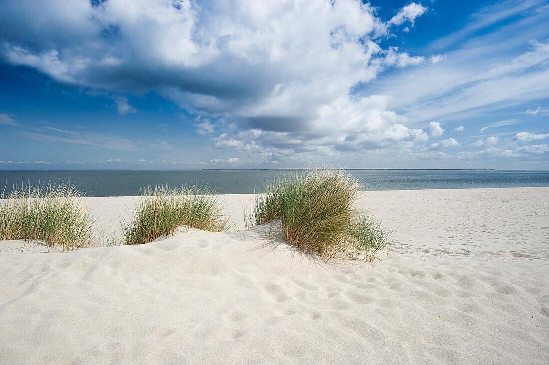 Sandy beach near List, Sylt, Schleswig-Holstein, Germany