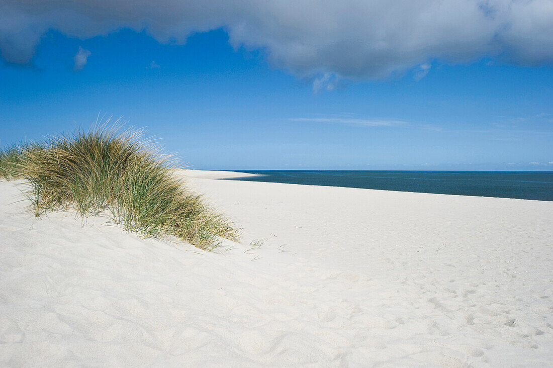 Sandstrand bei List, Sylt, Schleswig-Holstein, Deutschland