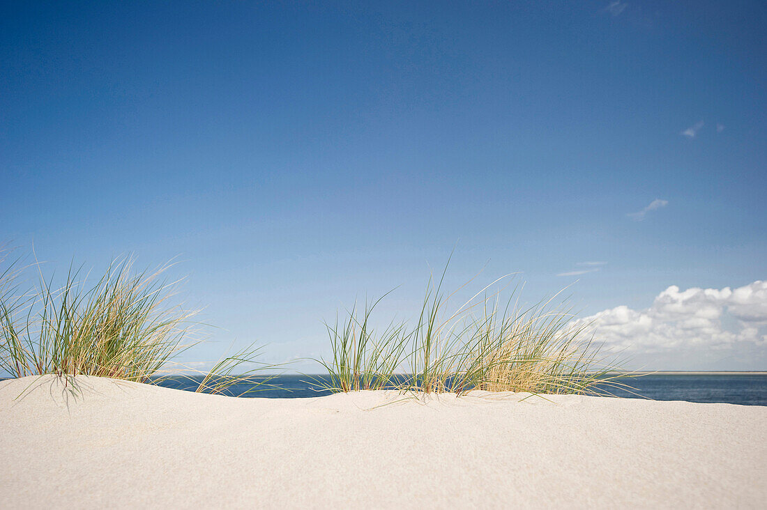 Sandstrand bei List, Sylt, Schleswig-Holstein, Deutschland