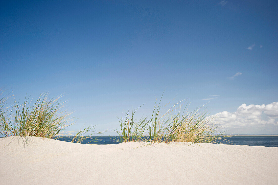 Sandy beach near List, Sylt, Schleswig-Holstein, Germany