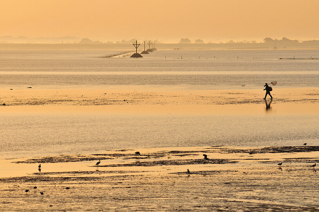 Fisherman with His Net, Bay of Somme, Somme (80), France