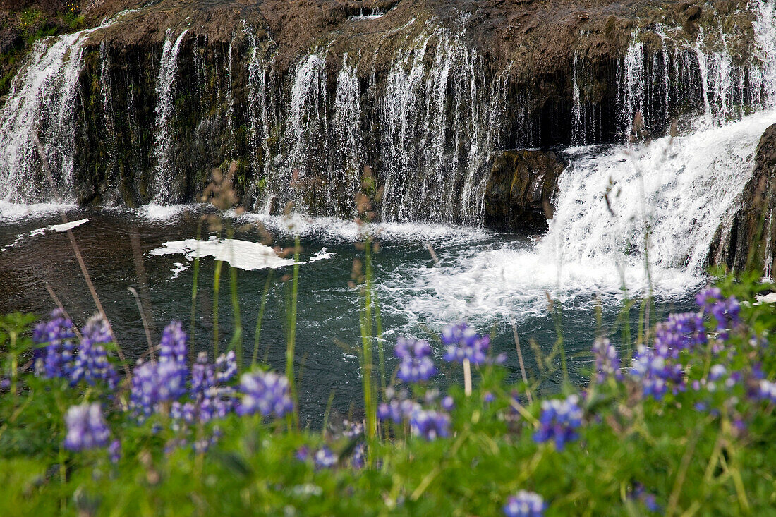 The Waterfalls in Hveragerdi, a Town Situated in a Zone of Intense Geothermal Activity near the Hengill Volcano on the Southern Coast of Iceland, Europe