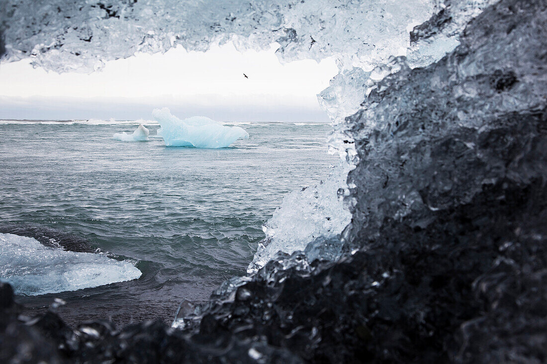 Black Sand Beach and Icebergs on Lake Jokulsarlon, An Extension of the Vatnajokull Glacier Or Glacier of Lakes, the Largest Icecap in Iceland, Possibly Even Europe
