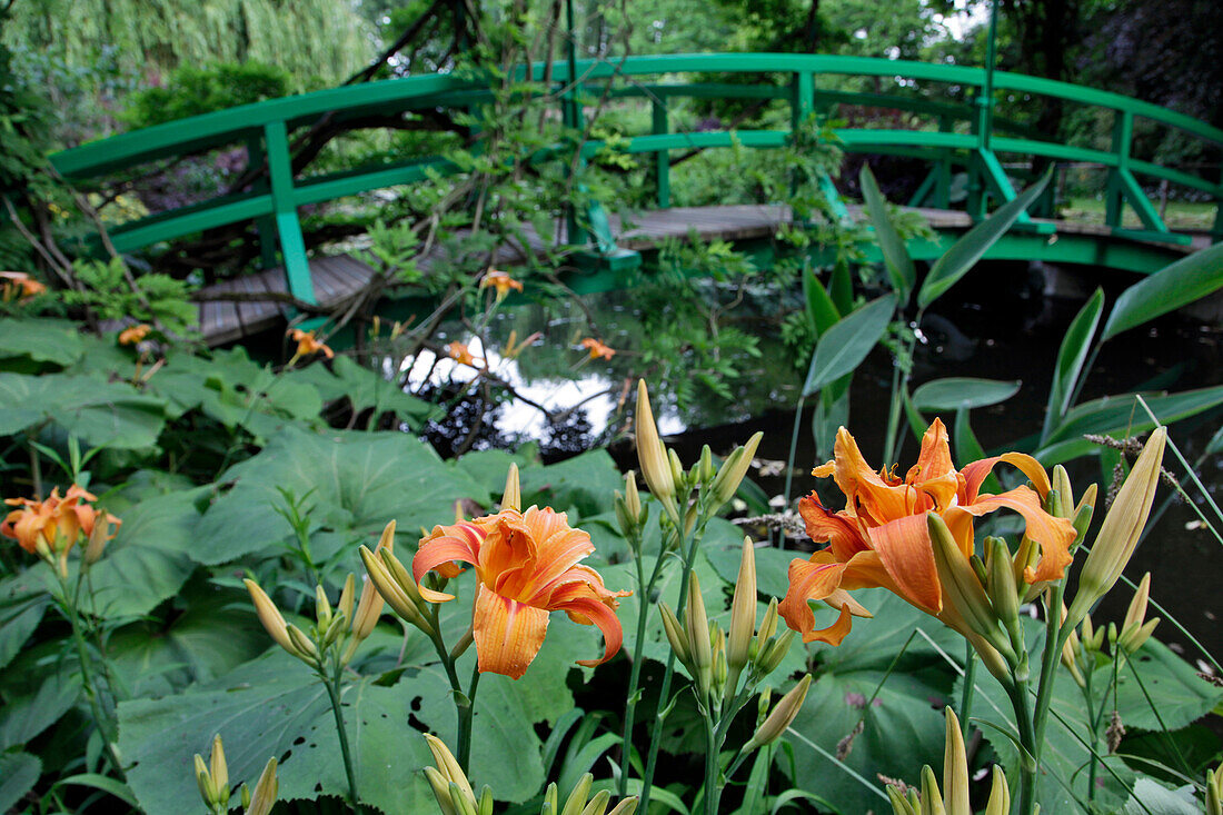 Orange Daylilies in front of the Japanese Bridge in the Impressionnist Painter Claude Monet's Water Garden, Giverny, Eure (27), France