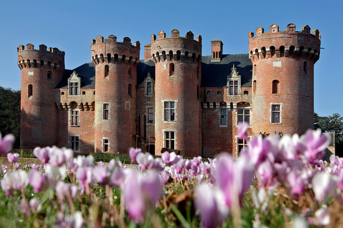 Cyclamens in front of the Chateau De Villebon, the Last Residence of the Duc De Sully Who Died in 1641, Villebon, Eure-Et-Loir (28), France