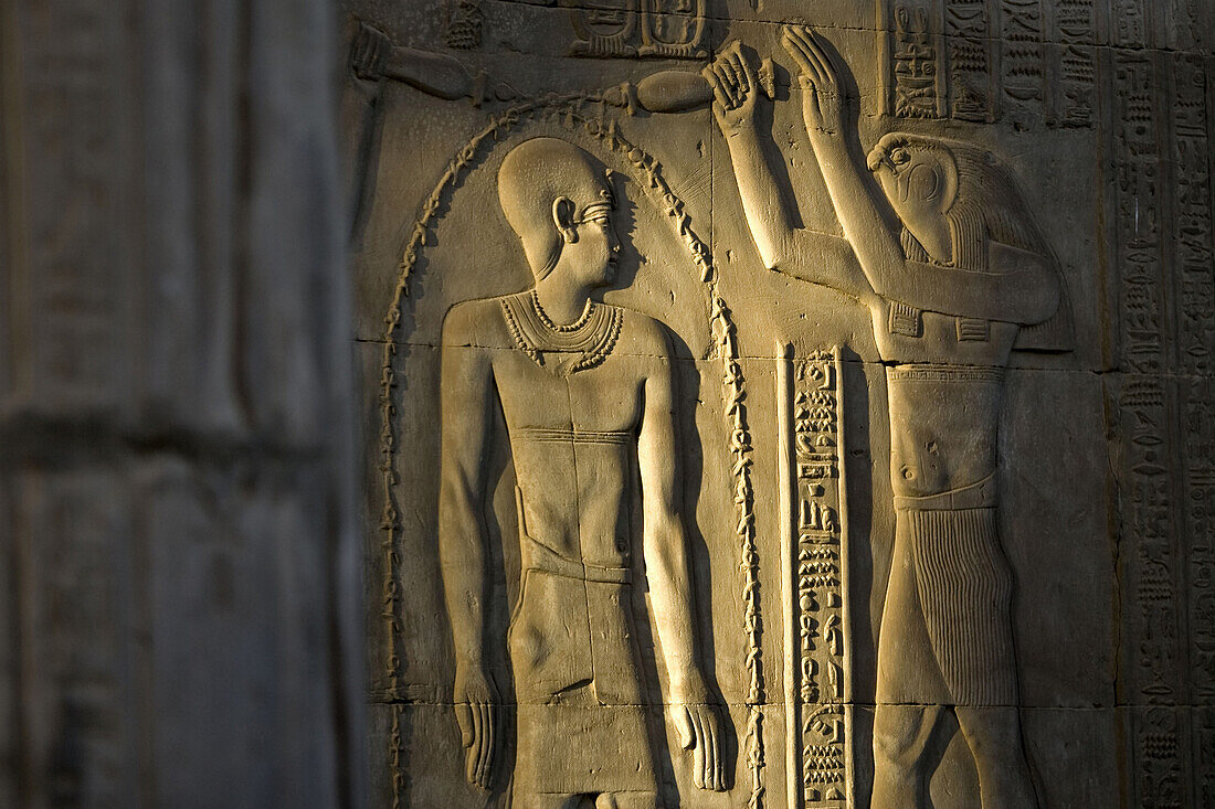 Pharaoh Ptolemy Xii and the Falcon God Horus, Temple of Kom Ombo Devoted to Two Gods, the Falcon God Horus (Or Haroeris) and the Crocodile God Sobek, Kom Ombo, Egypt, Africa