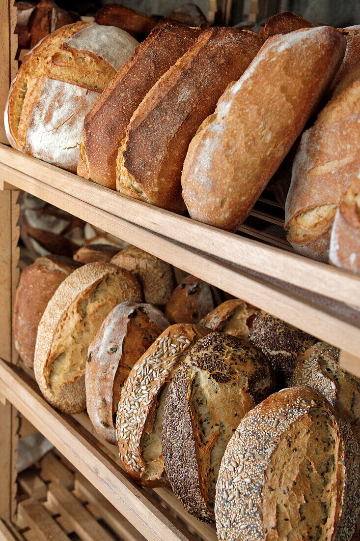 Bread From Organic Farming Fresh Out of the Wood Burning Oven, Creuse (23), France