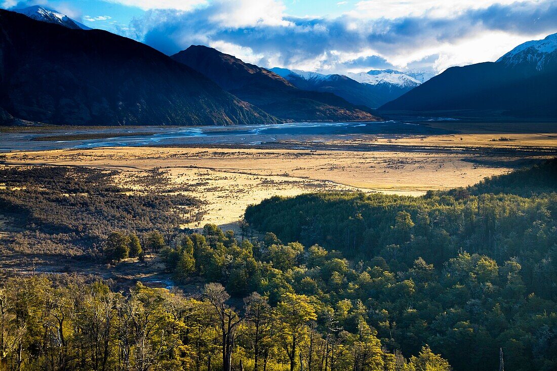 New Zealand, Canterbury, Arthur's Pass National Park Native woodland fringing Waimakariri River flats