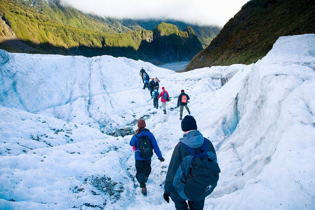 NEW ZEALAND, Westland, Westland National Park Tourists on a guided day hike exploring the Fox Glacier
