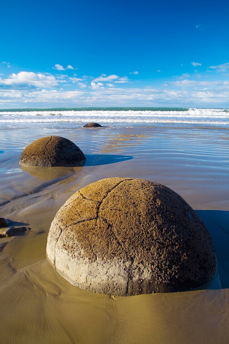 New Zealand, Otago, Moeraki Boulders The famous spherical Moeraki boulders on the North Otago coast