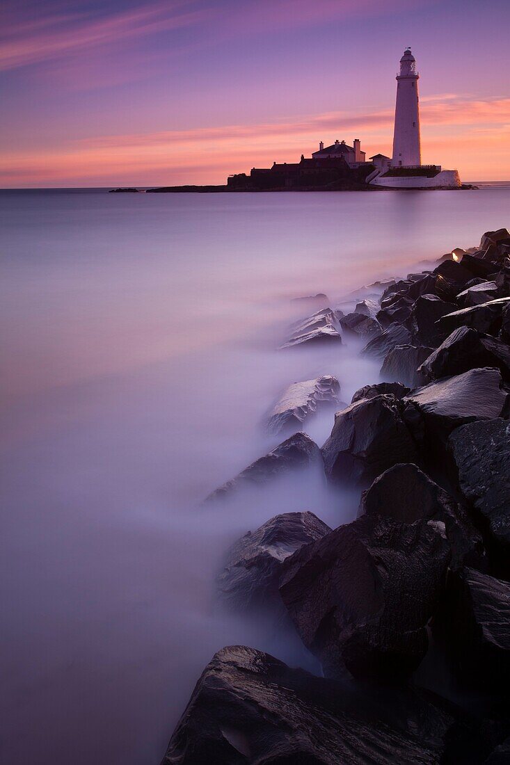 England, Tyne and Wear, St Mary's Island Pre-dawn pink skies above St Mary's Island and lighthouse, a popular location near Whitley Bay