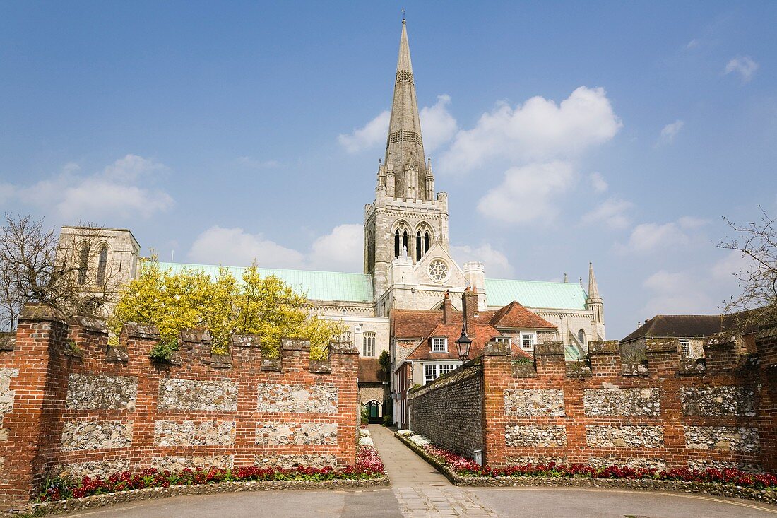 Chichester West Sussex England UK Europe CHICHESTER CATHEDRAL 1199 Cathedral Church of the Holy Trinity and St Richard's Walk in spring