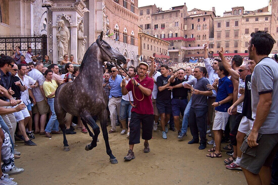 The Allocation of the horses, The Palio di Siena, Italy