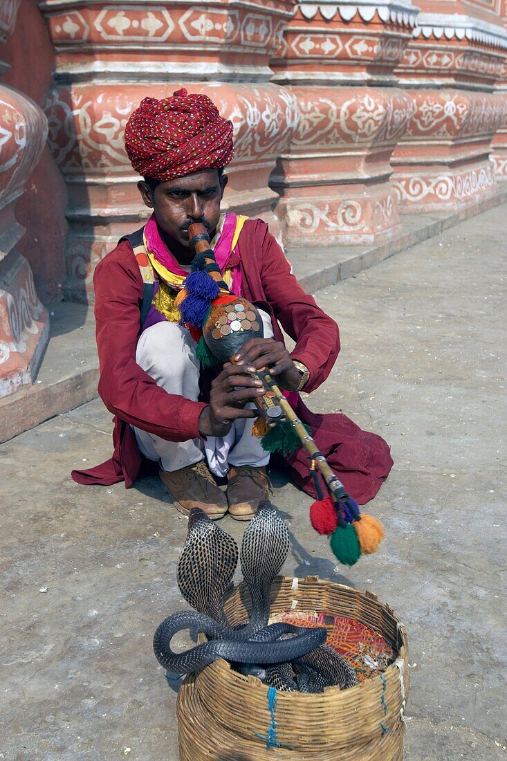 Snake Charmer, The Palace of Winds, Hawa Mahal Jaipur, Rajasthan, India