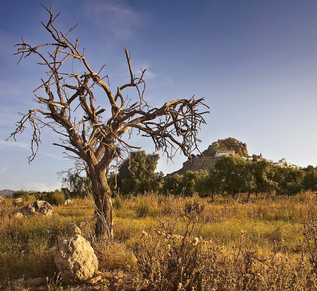 Zahara de la Sierra, Cadiz province, Andalusia, Spain