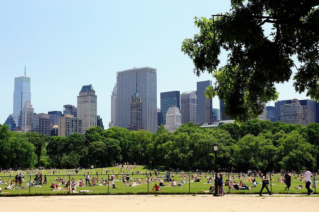 meadow in central park, new york