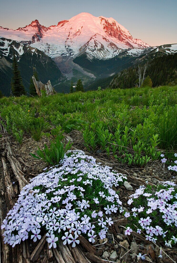 Mt Rainier sunrise