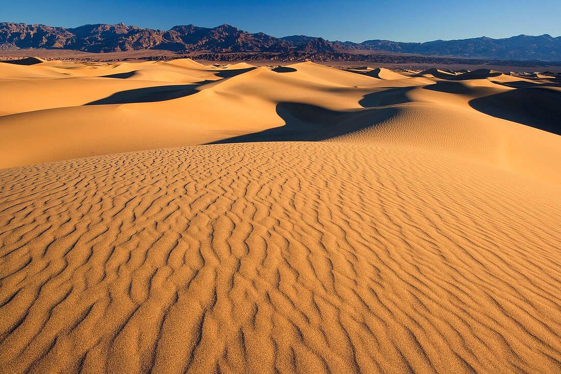 Sunrise over Mesquite Flat Sand Dunes, Death Valley national park