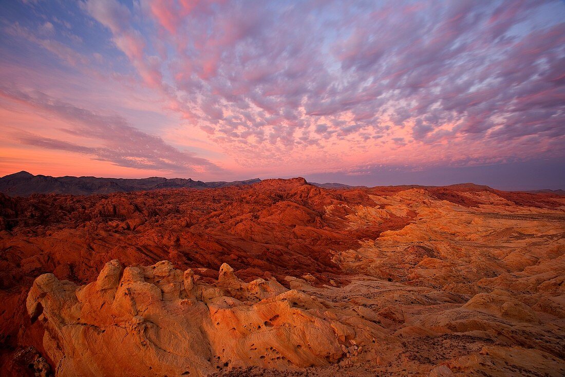 Sunrise over Valley of fire state park