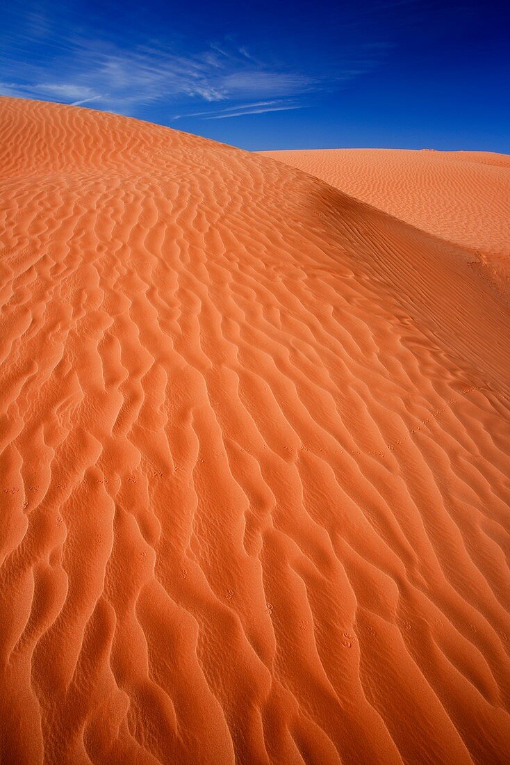 Pink sand dunes