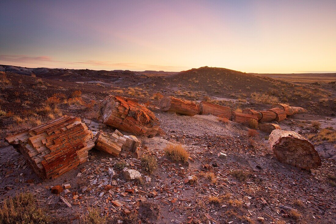 Sunset over the Petrified forest national park