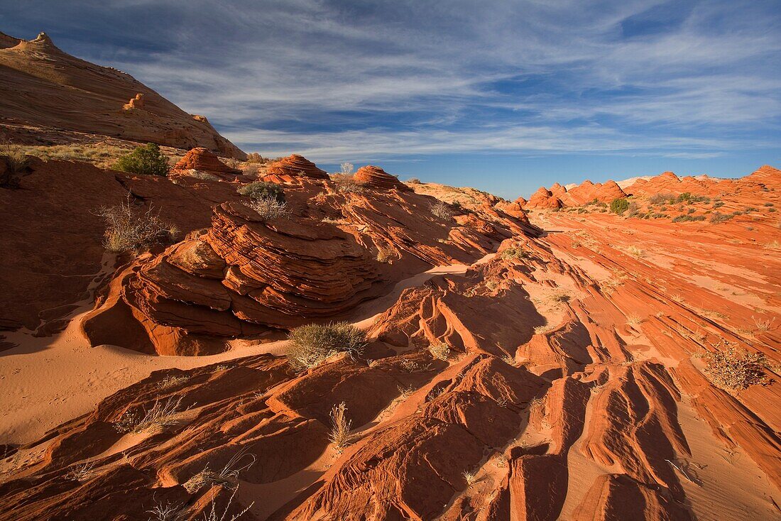 Sandstone formations in Coyote buttes wilderness