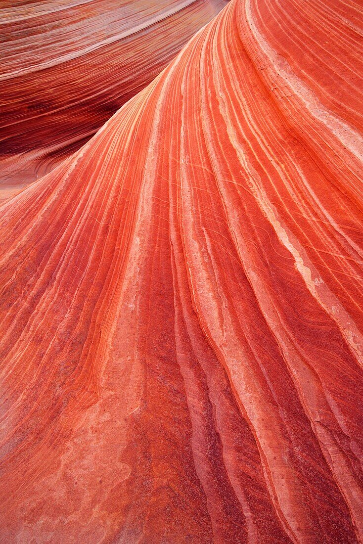Sandstone formation called Wave in Coyote Buttes north area illuminated by reflected morning light deep in one southwestern canyon