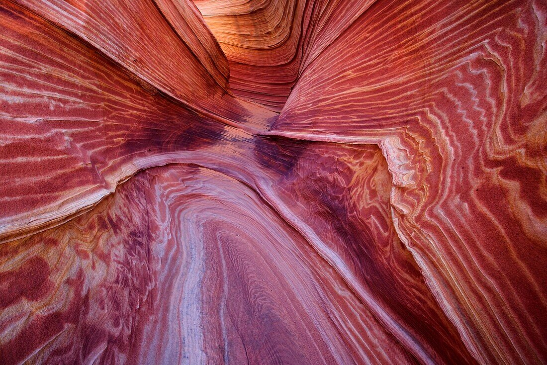 Sandstone formation called Wave in Coyote Buttes north area illuminated by reflected morning light deep in one southwestern canyon