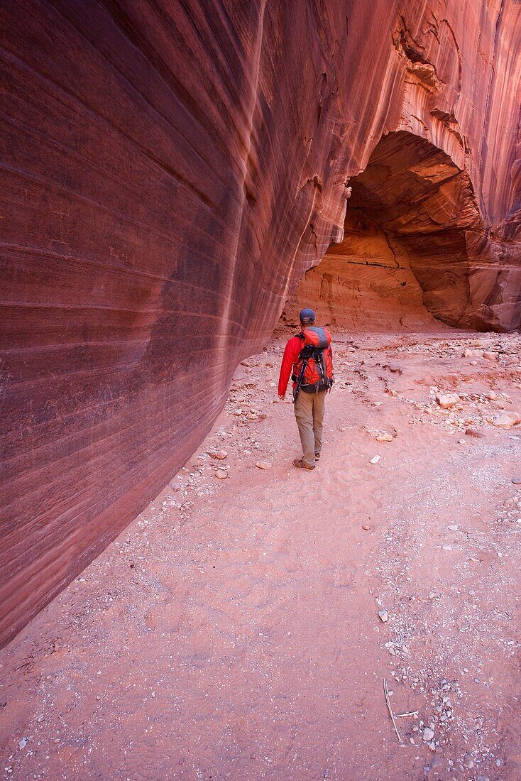 Hiker in the Navajo Sandstone narrows of Buckskin Gulch in the Paria Canyons - Vermilion Cliffs Wilderness Area, Utah