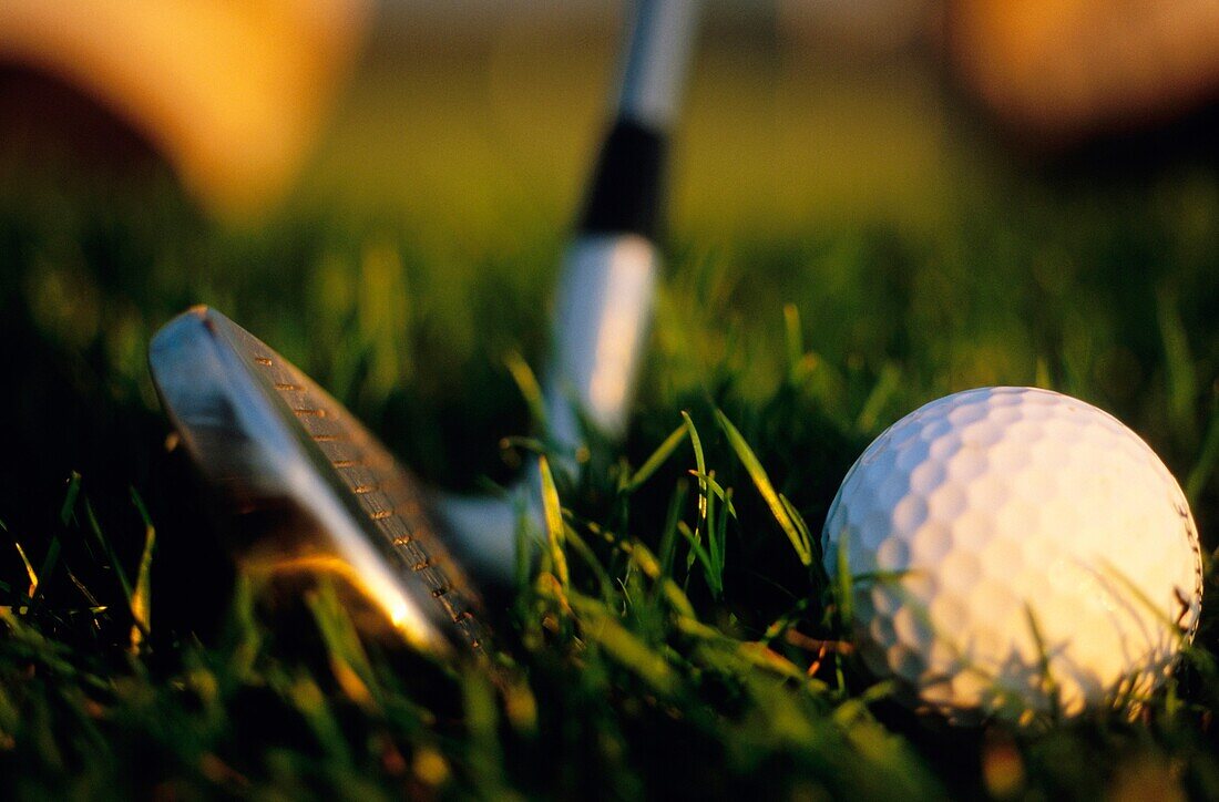 Tight shot of golf club next to golf ball in golden light