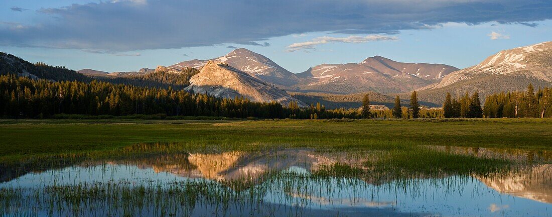 Reflection of Mount Dana in flooded field, Tuolumne Meadows, Yosemite national park, California