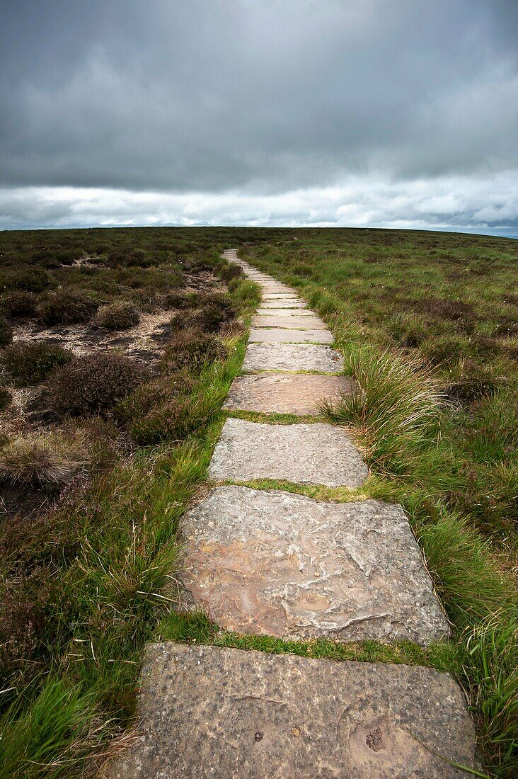 Offa's Dyke path along mountain ridge near Hay Bluff, Black Mountains, Wales