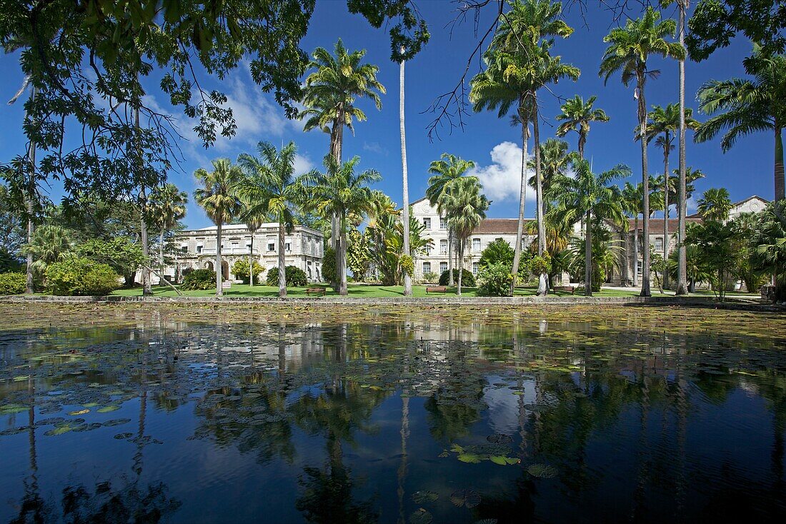 Lily pond at Codrington College, the oldest Anglican theological college in the Western Hemisphere, Barbados, 'West Indies'