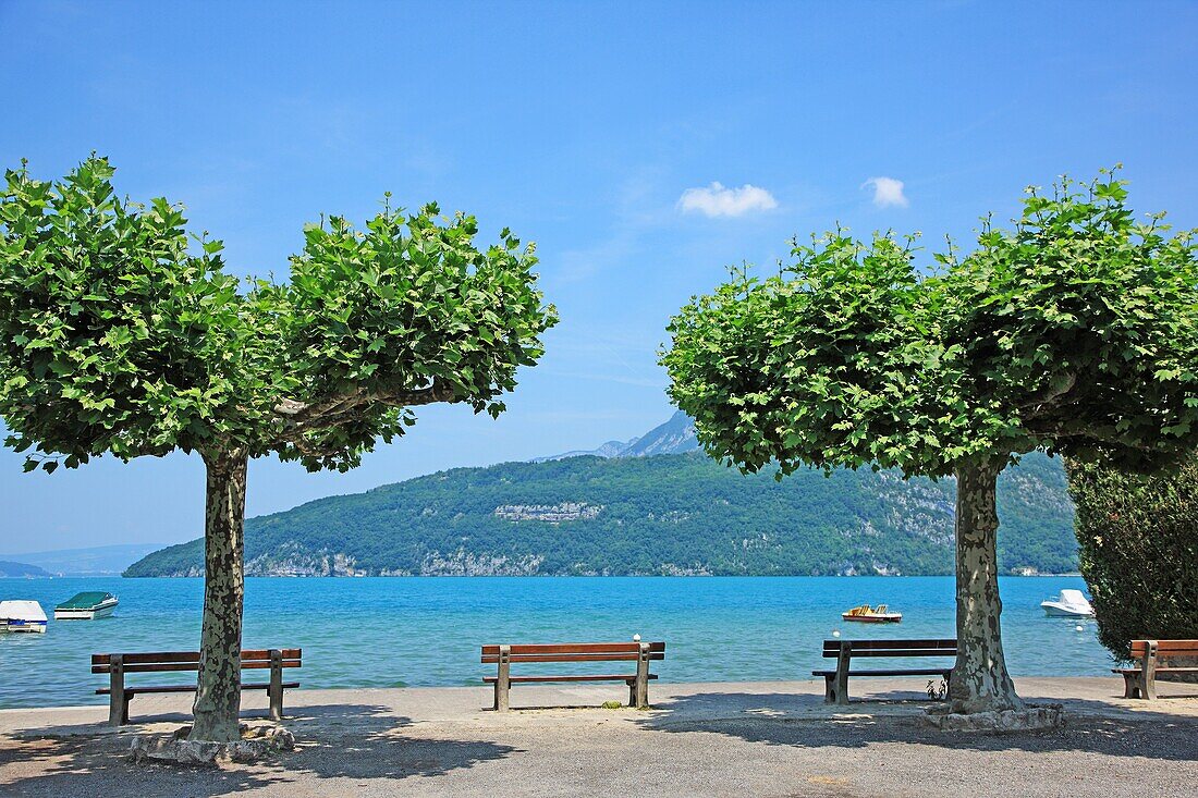 France, Savoie, Duingt, Lac d'Annecy