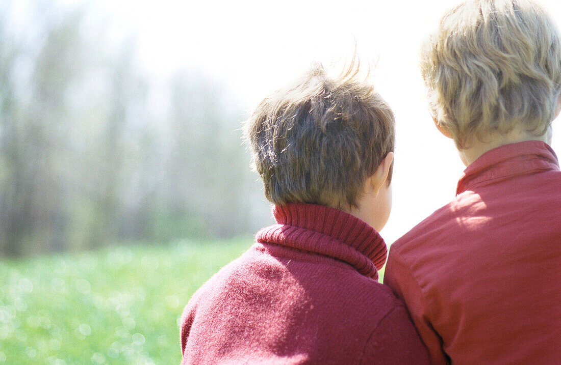 Two children sitting on grass, rear view