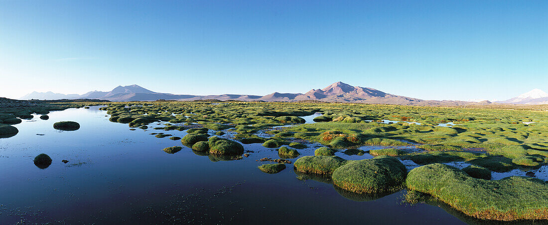 Chili, El Norte Grande, Lauca National Park, Laguna Cotacotani, marshy landscape with mountains in distance